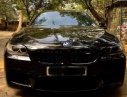 BMW 5 Series 528i 2010 - Chính chủ cần bán BMW 5 Series 528i sản xuất năm 2010, màu đen