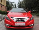 Hyundai Sonata Y20 2010 - Bán Hyundai Sonata Y20 đời 2010, màu đỏ, xe nhập