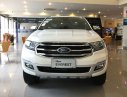 Ford Everest 2018 - Bán xe Ford Everest 1 cầu, số sàn, đời 2018, xe nhập 100%, giá tốt, khuyến mãi gói phụ kiện, LH 0969016692