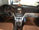 Mercedes-Benz C class C300 2010 - Bán xe Mercedes C300 2010, màu bạc giá cạnh tranh