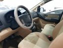 Hyundai Grand Starex 2012 - Bán Hyundai Grand Starex đời 2012, màu bạc, nhập khẩu nguyên chiếc 