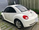 Volkswagen Beetle 1.6AT 2009 - Bán xe Volkswagen New Beetle 1.6 AT sản xuất 2009, màu trắng, xe nhập, giá 520tr