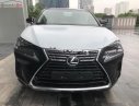 Lexus NX 300 2018 - Bán Lexus NX 300 năm sản xuất 2018, màu đen, xe nhập