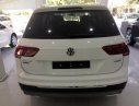 Volkswagen Tiguan Allspace 2018 - Bán xe Volkswagen Tiguan Allspace nhập khẩu nguyên chiếc