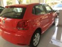 Volkswagen Polo 2018 - Bán Volkswagen Polo Hatchback nhập khẩu nguyên chiếc