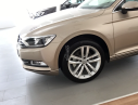 Volkswagen Passat Gp 2016 - Bán xe Volkswagen Passat GP màu cát vàng, đời 2016, nhập khẩu nguyên chiếc, giá 1 tỷ 200tr. ACE liên hệ 0921133889 để có giá tốt