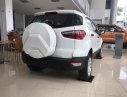 Ford EcoSport Ambient MT  2018 - Bán xe Ford EcoSport Ambient năm 2018, 505 triệu, LH 0989022295 tại Bắc Giang