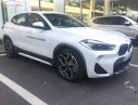 BMW X4 xDrive20i 2018 - Bán xe BMW X4 xDrive20i sản xuất 2018, màu trắng, nhập khẩu nguyên chiếc