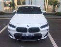 BMW X4 xDrive20i 2018 - Bán xe BMW X4 xDrive20i sản xuất 2018, màu trắng, nhập khẩu nguyên chiếc