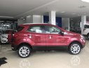 Ford EcoSport Titanium Ecoboost 2018 - Bán xe Ford EcoSport Titanium Ecoboost đời 2018, giá 660tr LH 0989022295 tại Bắc Giang