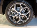 BMW X1 xLine 2018 - Bán BMW X1 tại Đà Nẵng - Xe nhập khẩu nguyên chiếc