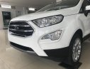 Ford EcoSport Titanium 2018 - Bán Ford EcoSport Titanium Ecoboost sản xuất 2018, nhập khẩu nguyên chiếc, giá 610tr, LH 0989022295 tại Bắc Giang
