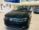 Volkswagen Tiguan 2018 - Bán Volkswagen Tiguan AllSpace 2019 hoàn toàn mới - xe nhập khẩu chính hãng