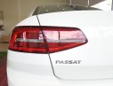 Volkswagen Passat 2017 - Bán Volkswagen Passat năm sản xuất 2017, màu trắng, nhập khẩu