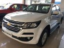 Chevrolet Colorado MT 2.5L 4x2 2018 - Bán ô tô Chevrolet Colorado năm sản xuất 2018, màu trắng, xe nhập