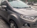 Ford EcoSport AT 2015 - Bán Ford EcoSport AT đời 2015, màu xám