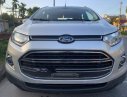 Ford EcoSport 2016 - Cần bán xe Ford EcoSport sản xuất năm 2016, màu bạc, giá tốt