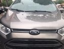 Ford EcoSport AT 2015 - Bán Ford EcoSport AT đời 2015, màu xám