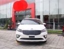 Kia Sedona   Luxury 2018 - Bán xe Kia Sedona sản xuất năm 2018, màu trắng