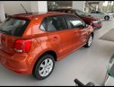 Volkswagen Polo 2018 - Bán polo Hatchback 2018 màu cam, giá 670tr, LH 0921133889