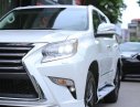 Lexus GX460 2018 - Lexus GX460 đời 2018, màu trắng, nhập khẩu