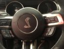 Ford Mustang Shelby GT 350 2018 - Bán xe Ford Mustang Shelby GT 350 năm sản xuất 2018, màu đen, xe nhập