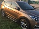 Hyundai Santa Fe 2017 - Bán Hyundai Santa Fe đời 2017, màu nâu