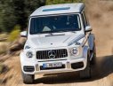 Mercedes-Benz G class G63 2018 - Bán Mercedes Benz G63 AMG Model 2019, nhập khẩu nguyên chiếc, xe đặt cọc