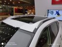 Nissan X trail  2.5 SV Luxury  2018 - Bán ô tô Nissan X trail 2.5 SV Luxury sản xuất 2018, màu trắng