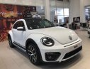 Volkswagen New Beetle 2018 - Volkswagen Beetle Dune nhập khẩu, hỗ trợ vay 80%