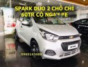 Chevrolet Spark Duo 2018 - Bán xe Chevrolet Spark Duo năm sản xuất 2018, màu bạc, xe nhập, giá tốt