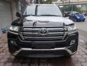 Toyota Land Cruiser VXR 4.6 2017 - Bán ô tô Toyota Land Cruiser VX. R 4.6 AT đời 2017, màu đen, xe nhập Trung Đông mới 100%