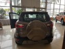 Ford EcoSport Titanium 2018 - Bán xe Ecosport 2018 hoàn toàn mới