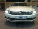 Volkswagen Passat Bluemotion 2017 - Bán Volkswagen Passat bluemotion đỉnh cao của công nghệ Đức, nhập khẩu nguyên chiếc, LH 0942050350