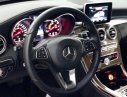 Mercedes-Benz C class 2018 - Chính chủ cần bán C250 sx 2018 màu đen, chạy lướt giá tốt