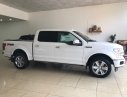 Ford F 150 Platinum 2019 - Giao ngay Ford F 150 Platinum 2019 xuất Mỹ, mới 100%