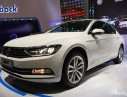 Volkswagen Passat Bluemotion 2017 - Bán Volkswagen Passat bluemotion đỉnh cao của công nghệ Đức, nhập khẩu nguyên chiếc, LH 0942050350