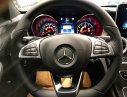 Mercedes-Benz C class C300 2018 - Cần bán Mercedes C300 đời 2018, màu đen, giao ngay toàn quốc