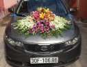 Kia Forte 2010 - Cần bán gấp Kia Forte 2010, màu xám, nhập khẩu