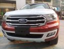 Ford Everest   Bi-Turbo   2018 - Bán Ford Everest Bi-Turbo năm sản xuất 2018, màu đỏ - Giao xe ngay tại Phú Quốc