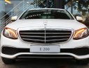 Mercedes-Benz E class E200 2018 - Bán ô tô Mercedes E200 năm 2018, màu trắng ở Lâm Đồng