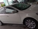 Kia Forte   1.6 MT  2013 - Bán Kia Forte 1.6 MT đời 2013, màu trắng