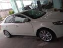 Kia Forte EX 1.6 MT 2013 - Bán Kia Forte EX 1.6 MT đời 2013, màu trắng, giá 375tr