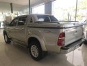 Toyota Hilux G 2013 - Bán Toyota Hilux 3.0G năm sản xuất 2013, màu bạc, nhập khẩu