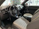 Volkswagen New Beetle 2018 - [VW Trần Hưng Đạo] giao ngay Beetle 2.0 đủ màu, nhập khẩu nguyên chiếc, hỗ trợ vay 80% với lãi suất thấp