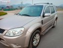 Ford Escape 2011 - Cần bán Ford Escape đời 2011 xe gia đình