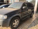 Ford Escape 2002 - Cần bán Ford Escape đời 2002, màu xám