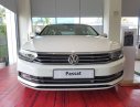 Volkswagen Passat Bluemotion 2018 - Bán Volkswagen Passat Bluemotion, xe Đức, nhập khẩu