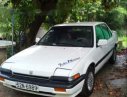 Honda Accord  XLI 1986 - Bán Honda Accord XLI sản xuất năm 1986, màu trắng, nhập khẩu nguyên chiếc