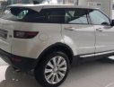 LandRover Evoque 2018 - Bán LandRover Evoque năm sản xuất 2018, màu trắng, xe nhập giao ngay